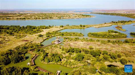  Dongying Yellow River Delta National Nature Reserve: Villiä kauneutta ja lintujen paratiisi!