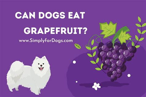 Can Dogs Eat Grape Fruit? Exploring the Myths and Realities of Canine Diets