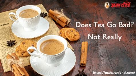 Does Tea Go Bad in the Fridge? And Why Does It Taste Like Rainforest After a Week?