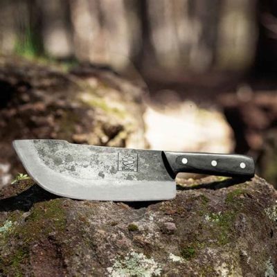 Is Coolina Knives Legit? Exploring the Sharp Truth Behind the Brand