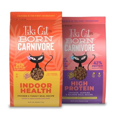 Is Tiki Cat Dry Food Good? Exploring the Whisker-Twitching Truths of Feline Nutrition