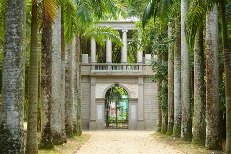 Jardim Botânico do Rio de Janeiro: Ihastuttava kasvien paratiisi ja brasilialaisen kulttuurin helmi!