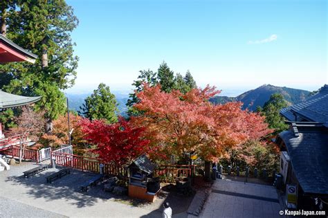 Mitake Shrine: Yksityinen luontotemppeli Hallowed Mountainin juurella!