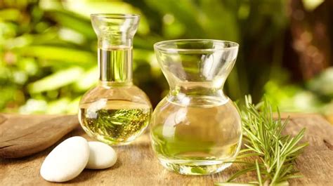 Tea Tree Oil Cause Hair Loss: A Myth or a Hidden Truth?